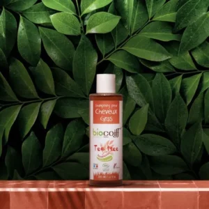 colorations végétales à Poitiers